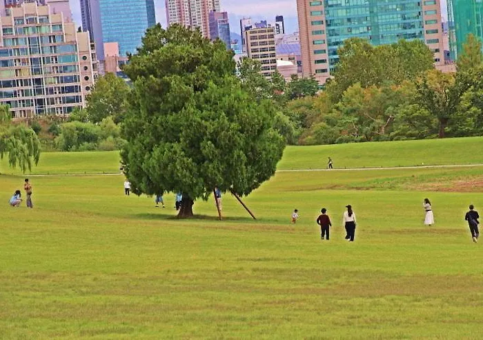 Cozy Family Jamsil * ソウル特別市